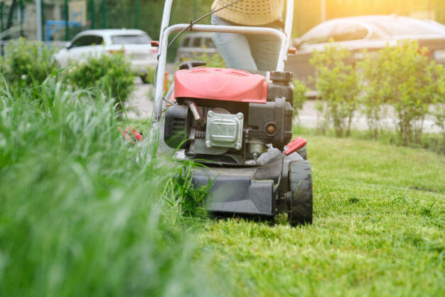 Professional Lawn Mowing Services